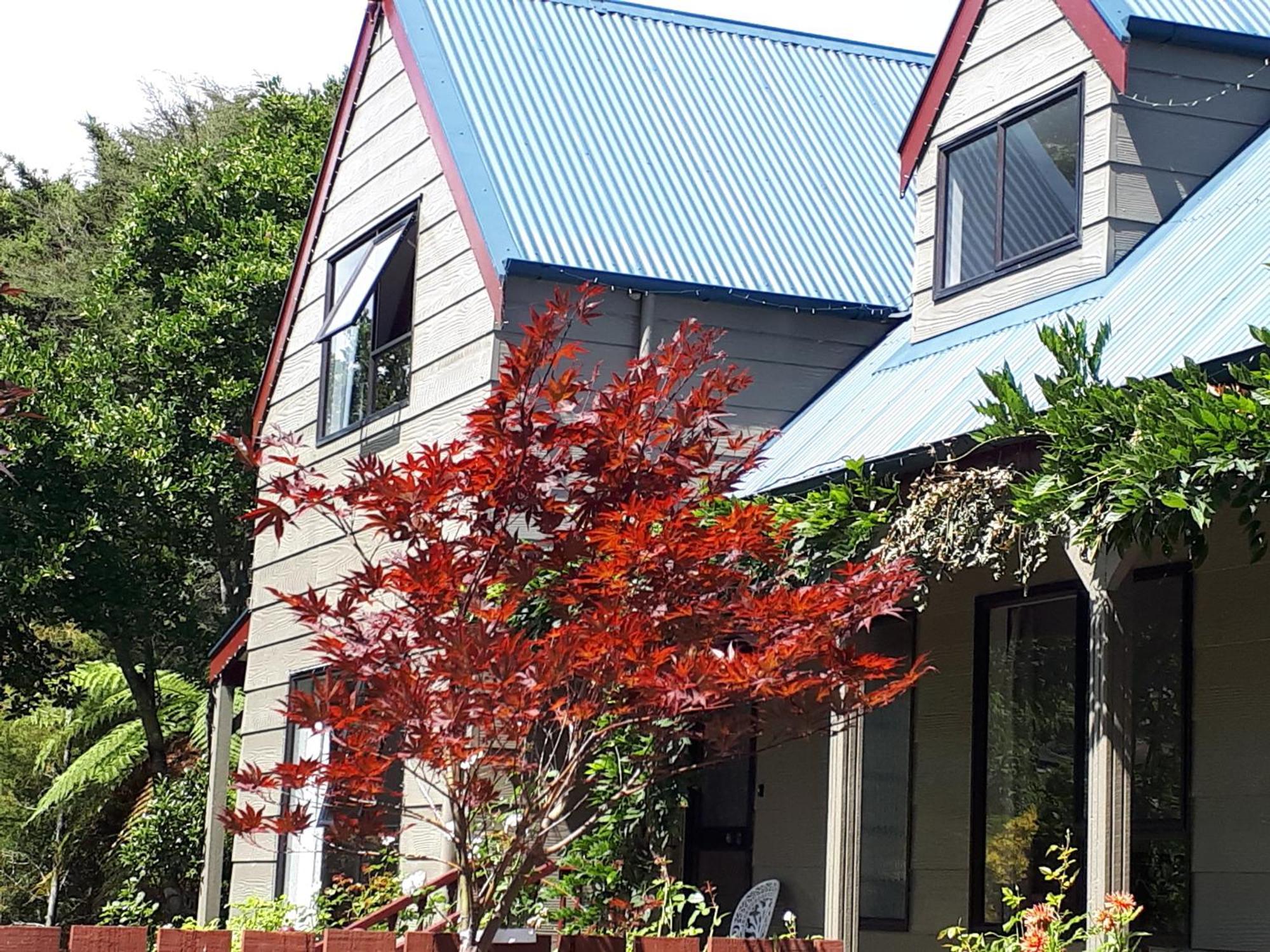 Bed and Breakfast Rangaroa Heights Taumarunui Exterior foto