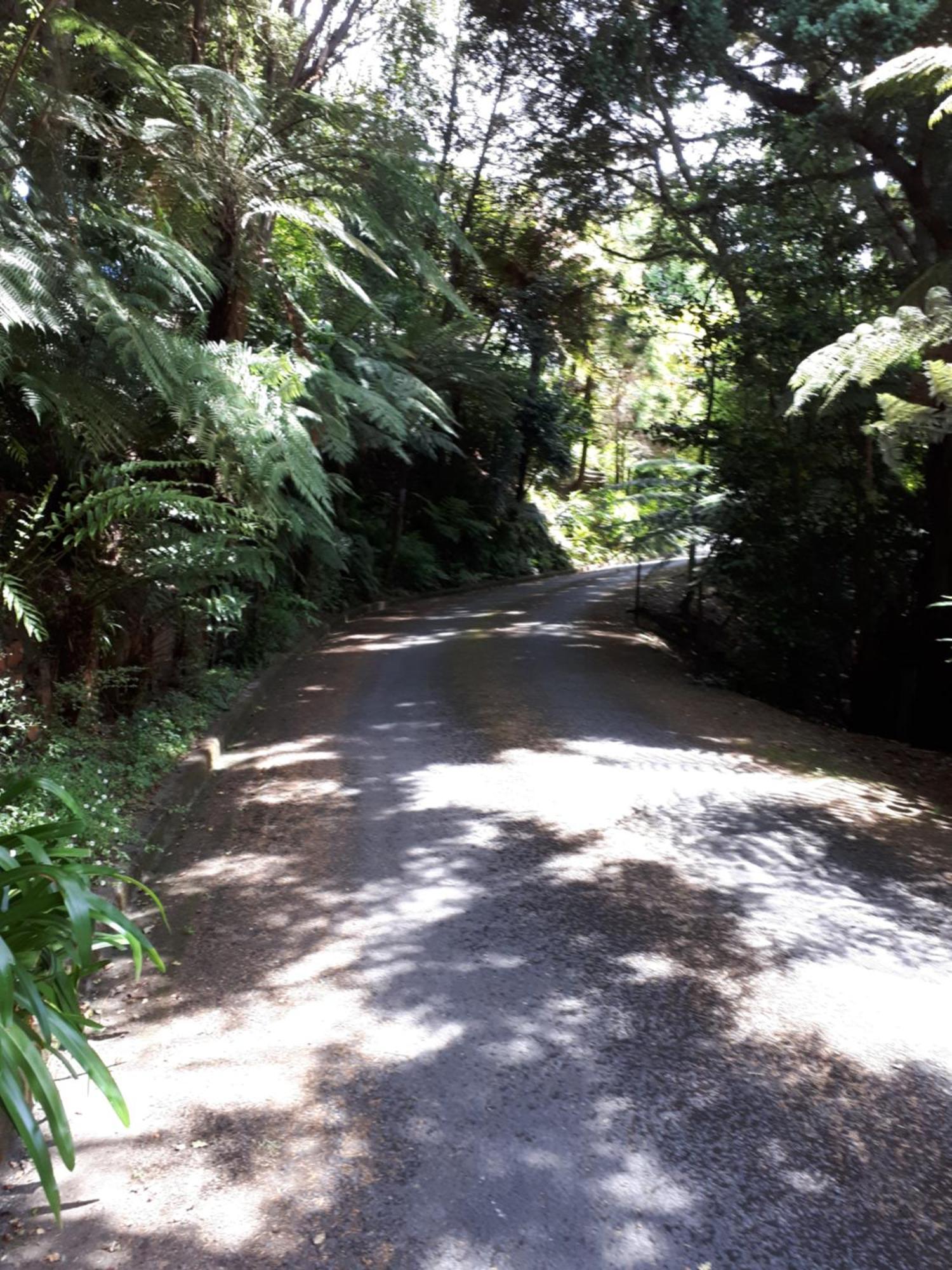 Bed and Breakfast Rangaroa Heights Taumarunui Exterior foto